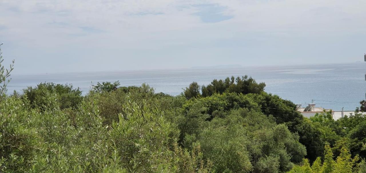 Seaview Apartment Борш Екстер'єр фото